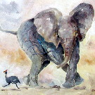 Thumb Junger Elefant mit Perlhuhn